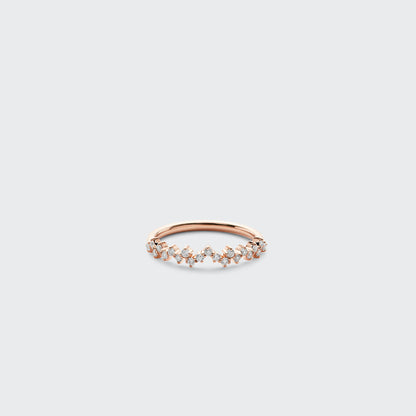 The Cosmic Ring
