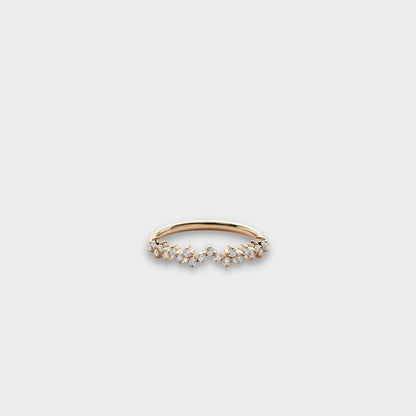 The Cosmic Ring