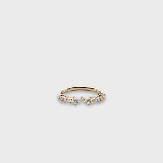 The Cosmic Ring
